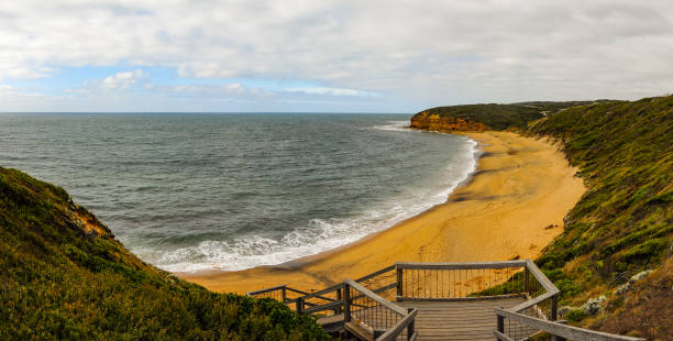istock The Sunny coast of the Pacific ocean. 837010544
