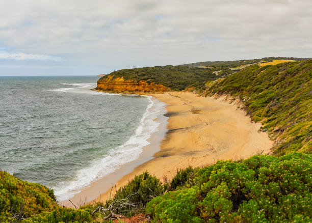 istock The Sunny coast of the Pacific ocean. 837010600
