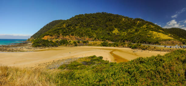 istock The Sunny coast of the Pacific ocean. 837010648