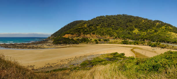 istock The Sunny coast of the Pacific ocean. 837010660