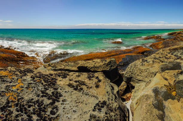 istock The Sunny coast of the Pacific ocean. 837010910