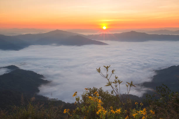 утренний вид на горы с солнечным лучом и дымкой в doi pha tang в чианграй таиланд - doi pha tang стоковые фото и изображения