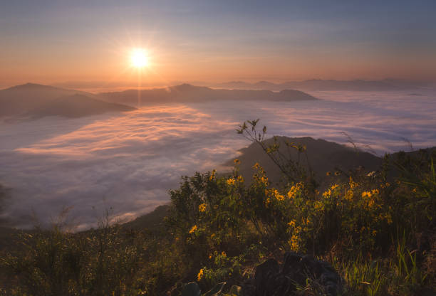 утренний вид на г�оры с солнечным лучом и дымкой в doi pha tang в чианграй таиланд - doi pha tang стоковые фото и изображения