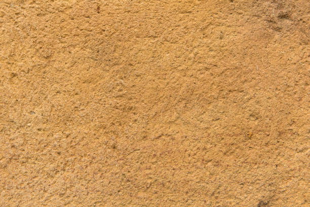 istock texture detailed structure of stone for background and design 837017430