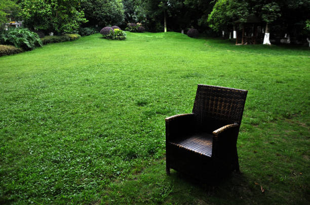 istock Chair with cane in a backyard 837017506