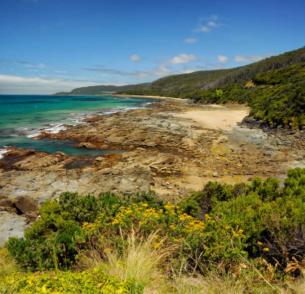 istock The Sunny coast of the Pacific ocean. 837018512