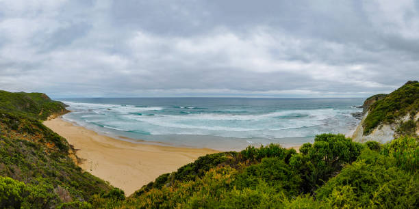istock The Sunny coast of the Pacific ocean. 837021322