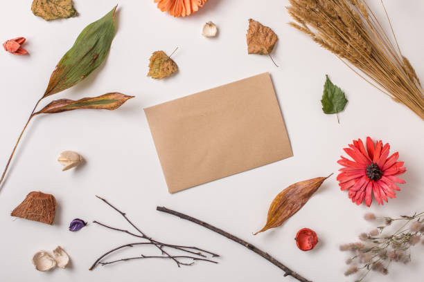 istock Craft card composed with autumn dry plants 837053582