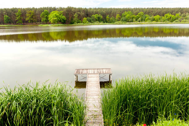 istock Pier on a calm river in the summer 837069024