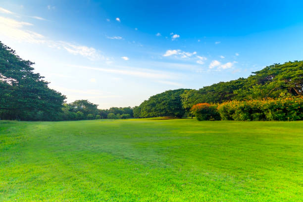 istock Green trees in beautiful park 837099642