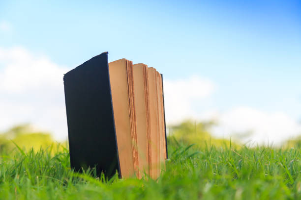 istock Old book on green grass under the blue sky 837100104