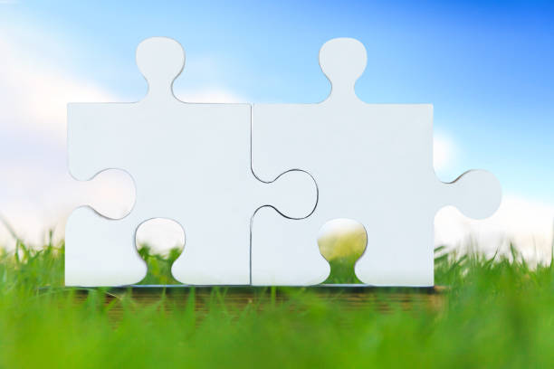 istock Puzzle pieces on green grass under the blue sky 837100286