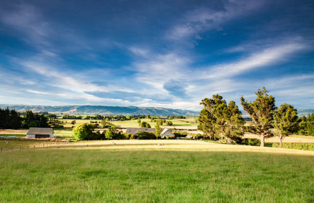 istock beautiful green grass land in colorful cloud sky 837100494