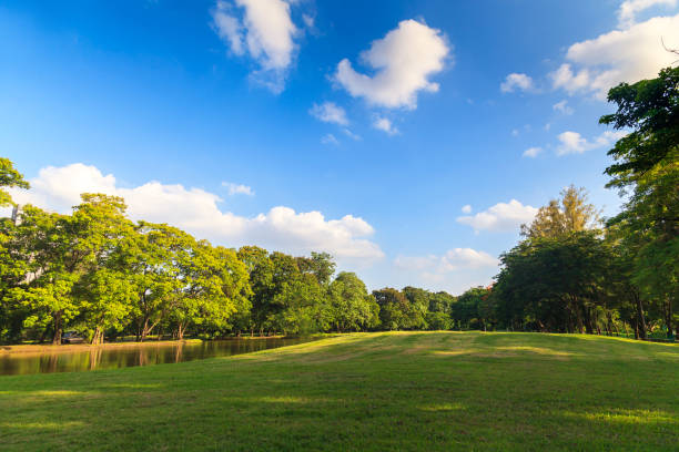 istock Green trees in beautiful park under the blue sky 837101002