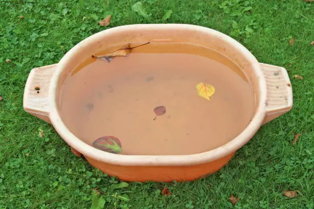 Cold autumn water and leaves in an orange plastic basin. Summer August grassy meadow. Soon autumn concept