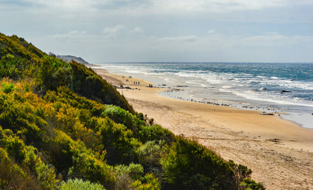 istock The Sunny coast of the Pacific ocean. 837127240
