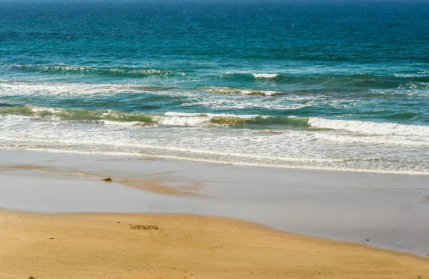 istock The Sunny coast of the Pacific ocean. 837127290