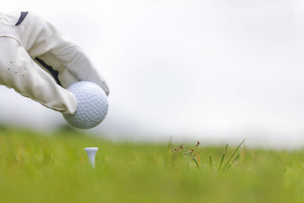 istock Hand holding golf ball with tee on golf course 837135762