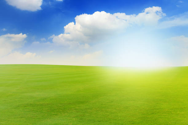 istock Beautiful landscape of Green meadow under blue sky with white clouds 837148970