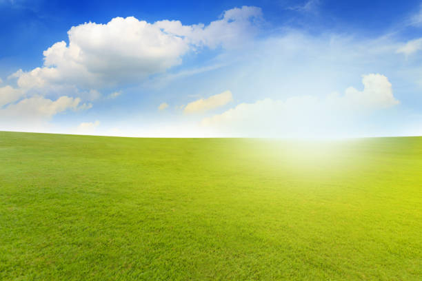 istock Beautiful landscape of Green meadow under blue sky with white clouds 837149018