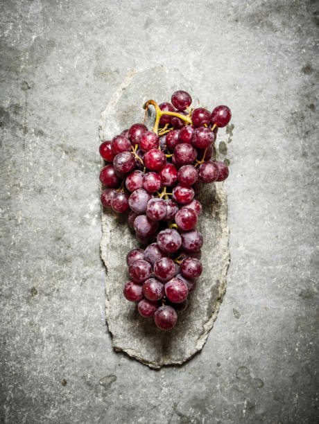istock Branch of red grapes. 837151268