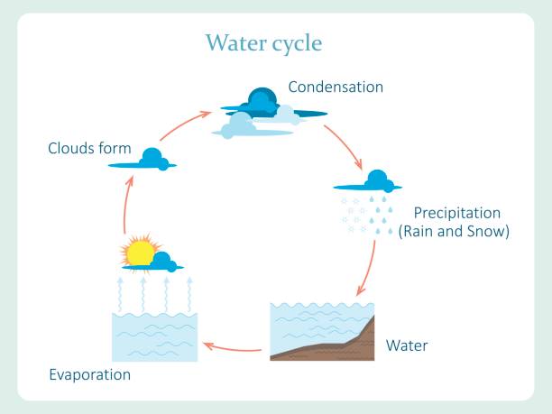 illustrations, cliparts, dessins animés et icônes de schéma du cycle de l’eau - cycle de leau