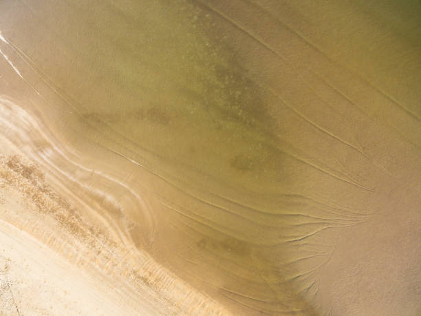 istock Top view of sandy beach background at sea 837154146