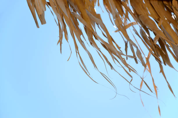 Straws of straw umbrella against the blue sky