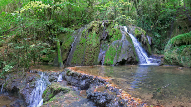 istock Stream of the Balme Grive 837173408