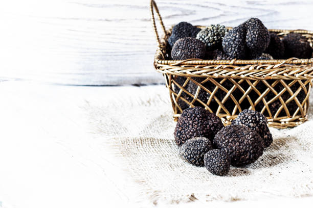 istock Expensive black truffles - gourmet mushrooms on rustic white table. 837175304