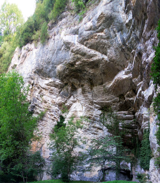 istock Stream of the Balme Grive 837179928