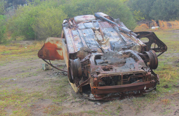 istock Wrecked burnt out cars 837185556