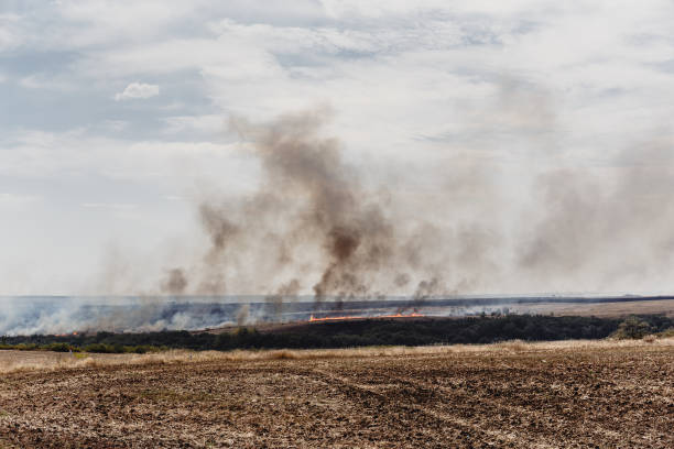 istock Smoke from a natural fire rises to the sky 837195092