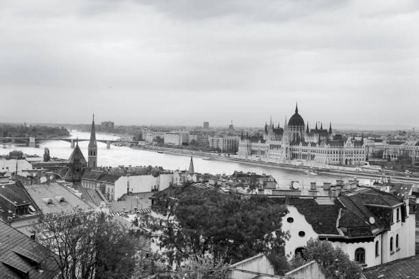 vue de la ville de budapest et du danube, hongrie. tonalité de couleur noir et blanc - budapest danube river cruise hungary photos et images de collection