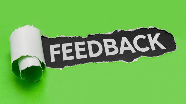 istock Torn green paper revealing the word Feedback 837210896