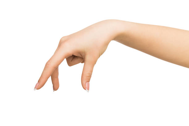 istock Female hand picking up something, cutout 837211268