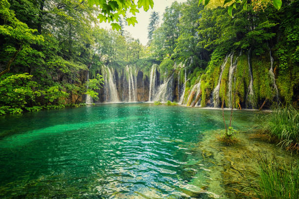 istock Plitvice Lakes National Park, Croatia 837211360