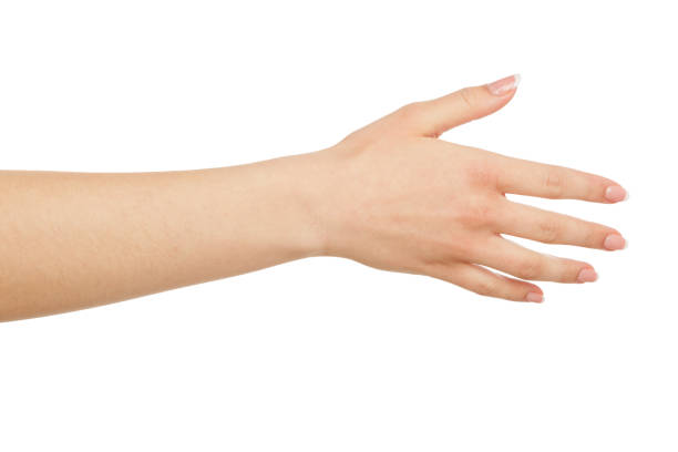 istock Female hand with greeting gesture, crop, cutout 837211532