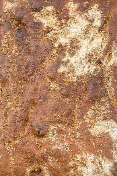 istock loaves of bread traditionally roasted.  Background. Close up. 837245168