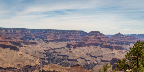 Grand Canyon National Park Along the Grand Canyon National Park in Arizona there are multiple lookouts and overlooks to see down into the canyon. yaki point stock pictures, royalty-free photos & images