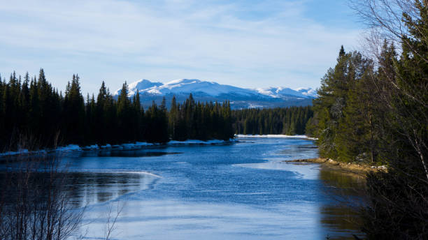 les montagnes  - norrland photos et images de collection