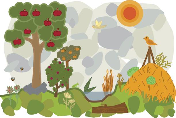 landscape of permaculture vector flat illustration of a land of permaculture with trees ans bees and vegetables bee water stock illustrations