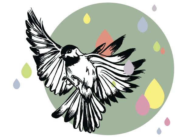 Flying Bird and Colorful Rain vector art illustration