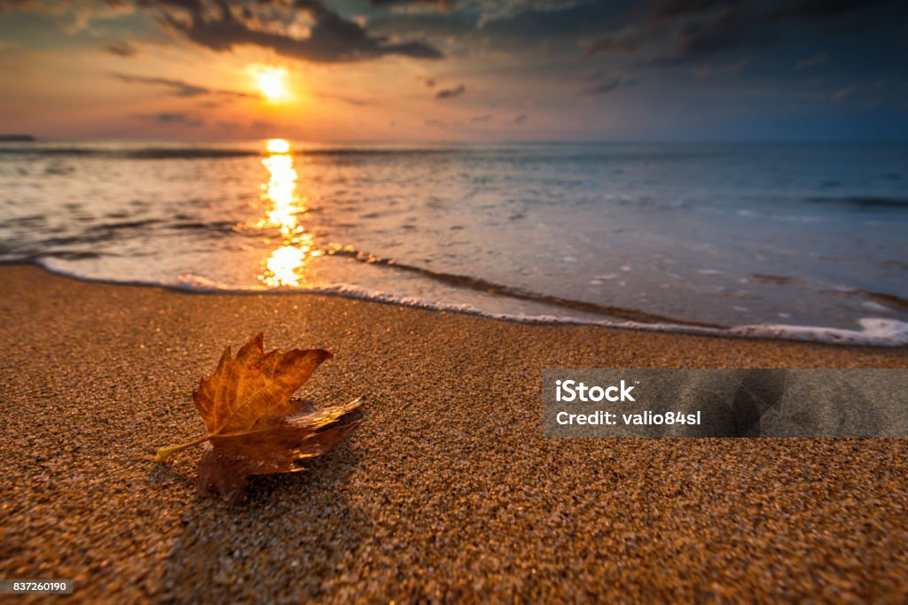 Beautiful sunrise over the sea and leaf. Autumn concept. Beautiful cloudscape over the sea, sunrise shot Autumn Stock Photo