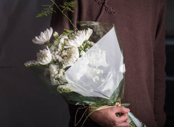 istock group of white chrysanthemum hold by hand studio shot 837262292