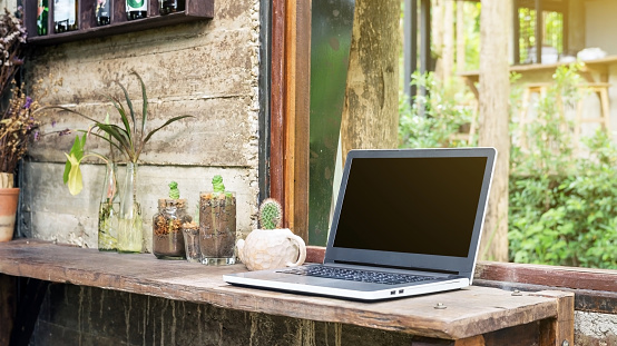 Laptop and cactus near a window.