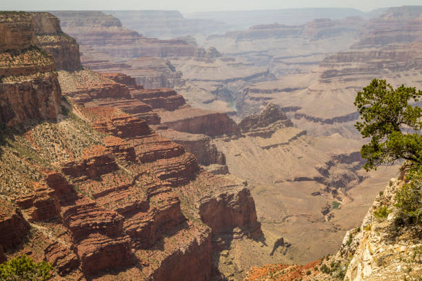 istock Grand Canyon National Park 837309710