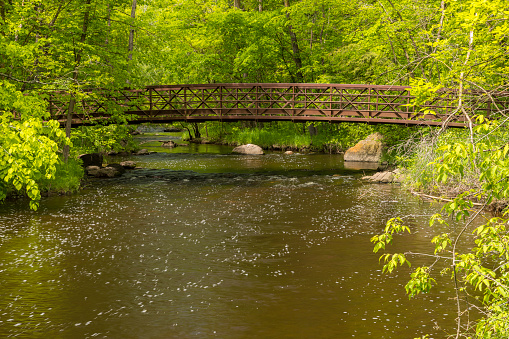 A creek in the woods with a footbridge.