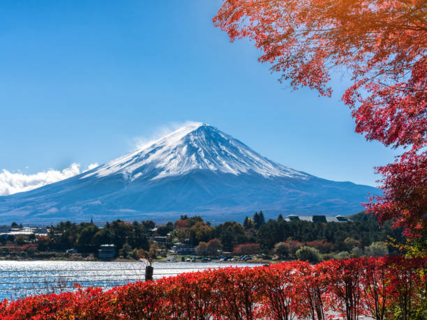istock Mount Fuji in Autumn Color, Japan 837315574
