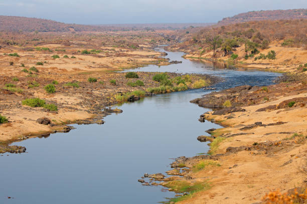 istock Kruger National Park landscape 837318318